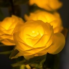 Ночник "Розы" 5хLED 4000К желтый 20х20х50см RISALUX - Фото 4