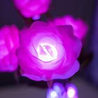 Ночник «Розы» 5хLED 4000К розовый 20×20×50 см RISALUX - Фото 4