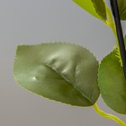 Ночник «Розы» 5хLED 4000К розовый 20×20×50 см RISALUX - Фото 5