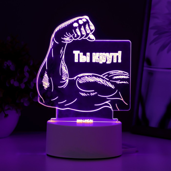 Светильник "Ты крут" LED RGB от сети 12,8х9,5х14,5 см RISALUX - Фото 1