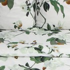 Постельное бельё евро «Экономь и Я» Oríganum, полисатин - фото 23416336