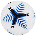 Мяч футбольный MINSA, TPE, машинная сшивка, 12 панелей, р. 5 - фото 8101779