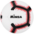 Мяч футбольный MINSA, TPE, машинная сшивка, 12 панелей, р. 5 - фото 4493091