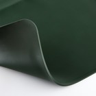 Коврик силиконовый под миску, 40 х 30 см, зеленый - фото 7883427
