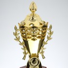 Кубок 184A, наградная фигура, золото, подставка пластик, 29 × 14 × 9,5 см. - Фото 6