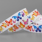 Лента репсовая «Цветные бабочки», 25 мм, 23 ± 1 м, разноцветная - фото 11614879