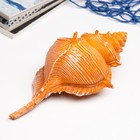 Фигурка полистоун «Ракушка», 23×11×10 см - Фото 1