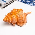 Фигурка полистоун «Ракушка», 23×11×10 см - Фото 2