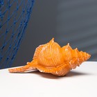 Фигурка полистоун «Ракушка», 23×11×10 см - Фото 4