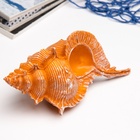 Фигурка полистоун «Ракушка», 23×11×10 см - Фото 4