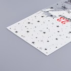 Пакет фасовочный БОПП, «Вооруженные силы России» 20×35 см - Фото 3