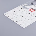 Пакет фасовочный БОПП, "Вооруженные силы России" 20*35 см (100 шт) - фото 809488886