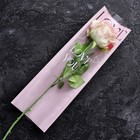 Пакет конус, для цветов, розовый, 14*40см - фото 320741821