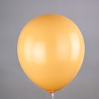 Шар латексный 10" Макаронс ассорти, пастель, набор 100 шт., МИКС - Фото 5