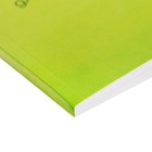 Альбом для рисования А4, 40 листов на склейке "Авокадо", обложка мелованный картон, блок 100 г/м² - фото 8180492