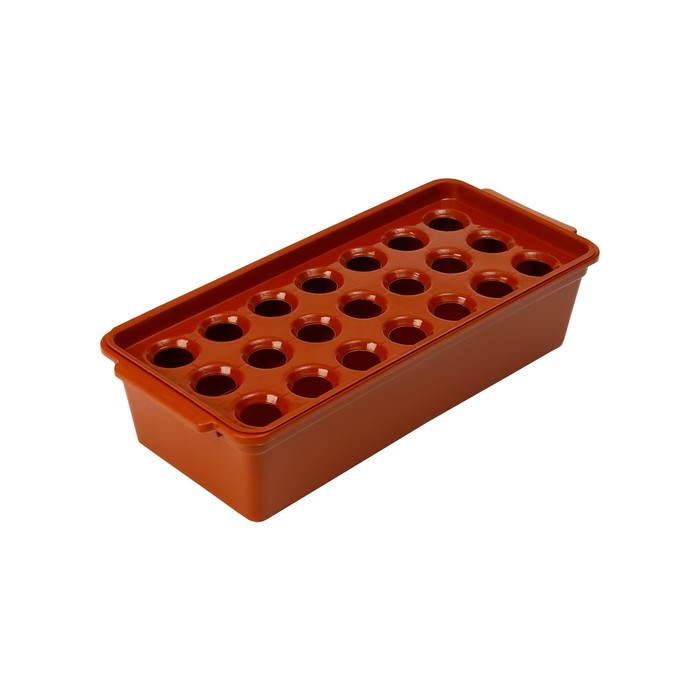 Ящик для рассады, 40 × 19 × 10 см, 21 лунка, красный