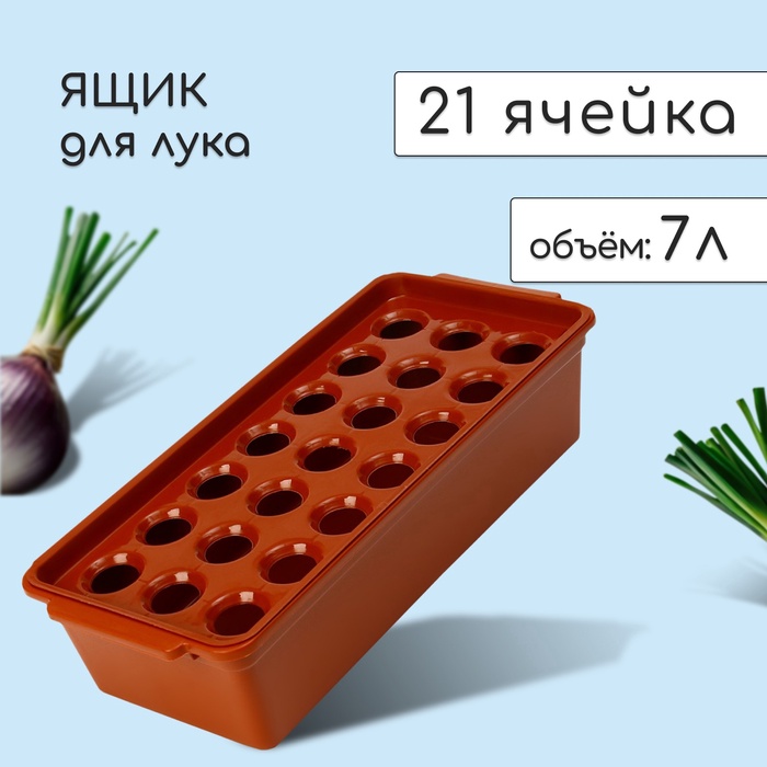 Ящик для выращивания зелёного лука, 40×19×10 см, 21 лунка, пластик, красный - Фото 1