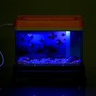УЦЕНКА Интерактивная игрушка «Аквариум», 2 рыбки - Фото 12
