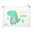 Папка-конверт на молнии формат А4, 180мкр, прозрачная с рисунком "Дракон", МИКС (комплект 5 шт) - фото 23299930