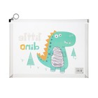 Папка-конверт на молнии формат А4, 180мкр, прозрачная с рисунком "Дракон", МИКС (комплект 5 шт) - фото 23299936