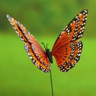 Набор декора садового "Бабочка парусница", штекер 25 см, 6 шт, микс цвета - Фото 10