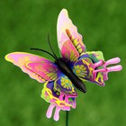 Набор штекеров "Бабочка дельфиус", 25см, 6шт, микс - Фото 8