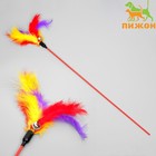 Дразнилка «Перышко», 59 см, с бубенчиком, цвет МИКС - Фото 1