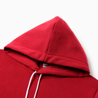 Толстовка мужская НАЧЁС, цвет бордовый, размер 52 10145102