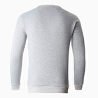 Свитшот мужской НАЧЁС, цвет светло-серый, размер 54 10145145