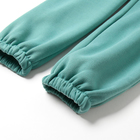 Костюм женский с начёсом (толстовка, брюки), цвет зелёный, размер 56 - фото 807278270 Костюм женский с начёсом (толстовка, брюки), цвет зелёный, размер 56 - фото 807278270