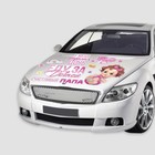 Набор магнитов на авто «Еду за дочкой», на выписку, 42 см × 29.7 см - Фото 4