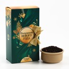 Чай чёрный «Роскошного Нового года» в коробке-книге, вкус: мята, 100 г. - фото 11633572