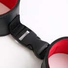 Эротический БДСМ набор, 6 предметов, чёрный/красный - Фото 7