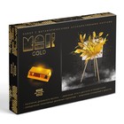 Арт-терапия «GOLD» с МАК, 50 карт (7×12 см), холст (22×16.5 см), краски (6 цветов), кисть,16+ - Фото 7