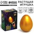 Растущие игрушки Funny toys «Вырасти своего питомца: Змея» - Фото 1