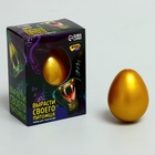 Растущие игрушки Funny toys «Вырасти своего питомца: Змея» - Фото 2