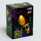 Растущие игрушки Funny toys «Вырасти своего питомца: Змея» - Фото 4