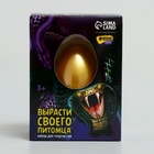 Растущие игрушки Funny toys «Вырасти своего питомца: Змея» - Фото 5