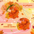 Карнавальный набор "Осенняя фея" крылья, венок, палочка - Фото 3