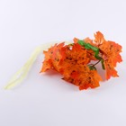 Карнавальный набор «Осенняя фея»: крылья, венок, палочка - Фото 5