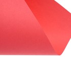 УЦЕНКА бумага цветная А4 250 л Calligrata Умеренный интенсив МИКС 5цв 80 г/м², АМБАЛАЖ 10226564