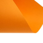 УЦЕНКА бумага цветная А4 250 л Calligrata Умеренный интенсив МИКС 5цв 80 г/м², АМБАЛАЖ 10226564