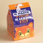 Леденцы с соком «Я конечно не подарок» в коробке домике, 100 г. - фото 23319004