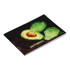 Скетчбук А5, 40 листов на склейке по короткой стороне "Авокадо", обложка мелованный картон, блок 100 г/м² - фото 8513131