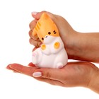 Сквиш игрушка - антистресс «Толстый котик», МИКС - Фото 4