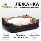 Лежанка  "Боска", 50 х 40 х 16 см - фото 3975834