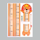 Наклейка пластик интерьерная цветная ростомер "Король львов" 45x60 см - Фото 2