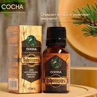 Эфирное масло «Сосна» 17 мл в коробке - Фото 3