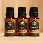 Набор эфирных масел «Добропаровъ» пихта, мята, эвкалипт, 3 шт. по 17 мл - Фото 7