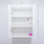 Шкаф навесной для ванной комнаты 02-55, 55 х 70 х 28,9 см - Фото 3
